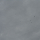 Családi Nap az MH Pápa Bázisrepülőtéren - 2019