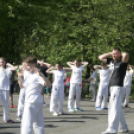 Mozdulj Pápa - 2016