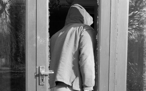 Meglopta édesanyja albérlőjét