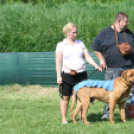 2 x CAC Nemzeti Kutyakiállítás – Pápa