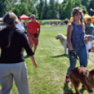 2 x CAC Nemzeti Kutyakiállítás – Pápa