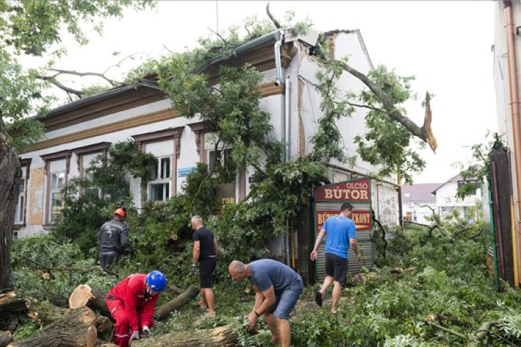 Országszerte tombolt a szél, Nógrádban fa dőlt egy iskolára