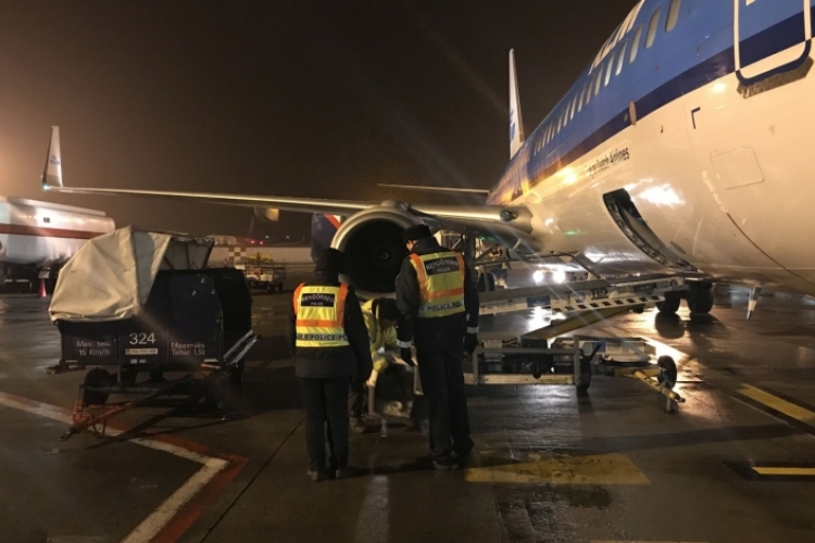 Poggyászpakolók fosztogattak a Liszt Ferenc-repülőtéren