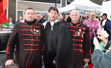 Nardai Péter: A Mi Hazánk nem folytat koalíciós politikát