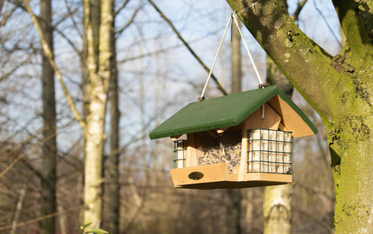 A kukorica sokoldalú felhasználása