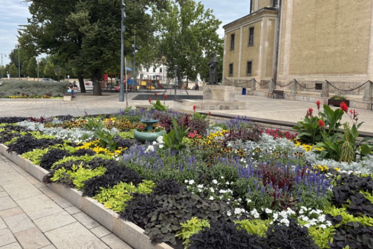 Virágos Magyarország verseny - Tájépítészeti díjat kapott Pápa