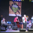 Pápai Cicege és Bornapok 2013 - Borszombat