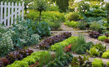 Keresik a legszebb konyhakertet