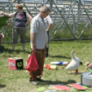 XX. Pápai Agrárexpo - Városi Gyermeknap