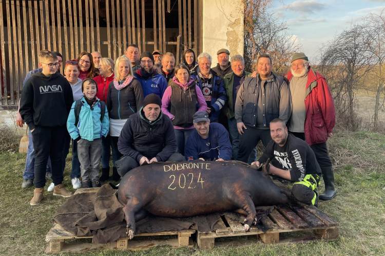 Jótékonysági disznóvágás Döbröntén