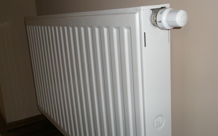 Volt élettársát lopta meg