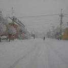 40 cm hó Pápán - 2013