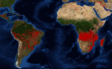 Afrikában sokkal nagyobb területen ég az erdő, mint az Amazonasban