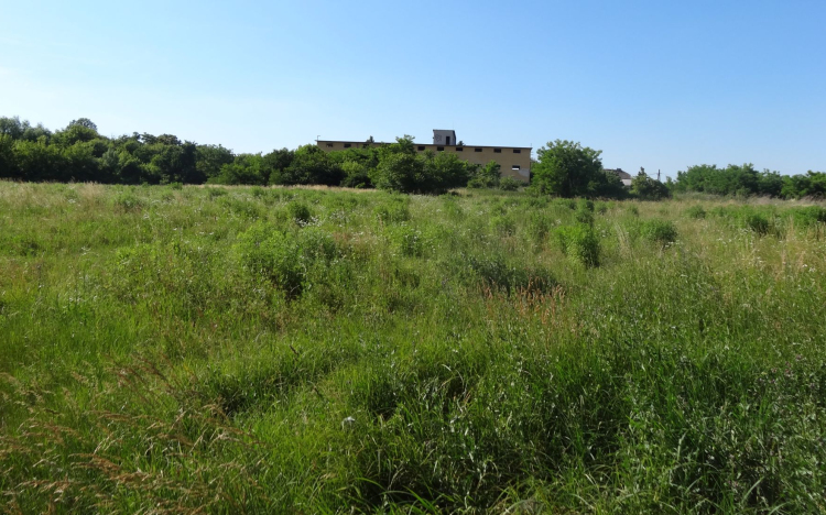 Ezen a területen atlétikai és teniszpálya, kutyafuttató, skate park, valamint tekepálya épül