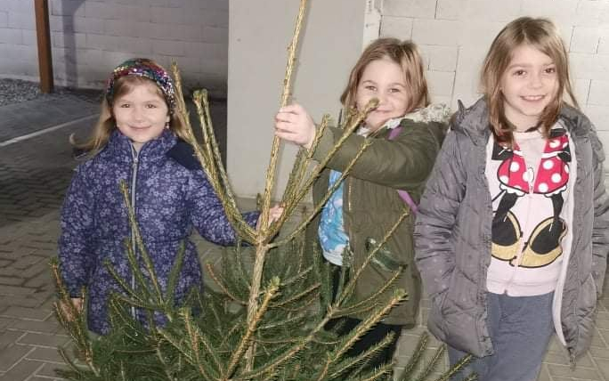 Fenyőfákat ajánlott fel egy pápai vállalkozó a Pápai Nagycsaládosok Egyesületének