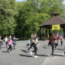 Mozdulj Pápa - 2016