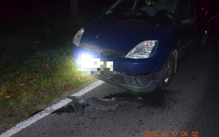 Óvatosan a Bakonyban - Sok vadbaleset történik a megye útjain!