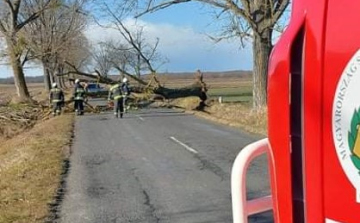 Tizenhat alkalommal riasztották a pápai tűzoltókat a viharos szél miatt