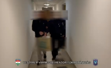 Online csalókat fogtak a pápai rendőrök