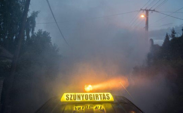 Ma ismét szúnyogirtás lesz Pápán!