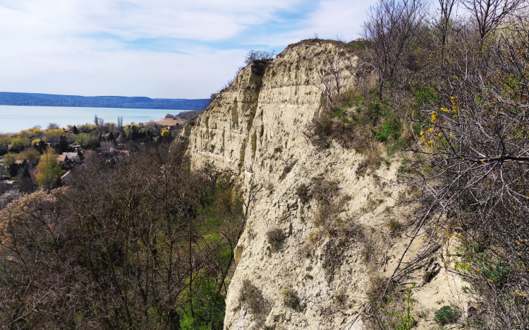 Az egykor hazánk területén hullámzó Pannon-tó maradványait őrzik a balatoni magaspartok
