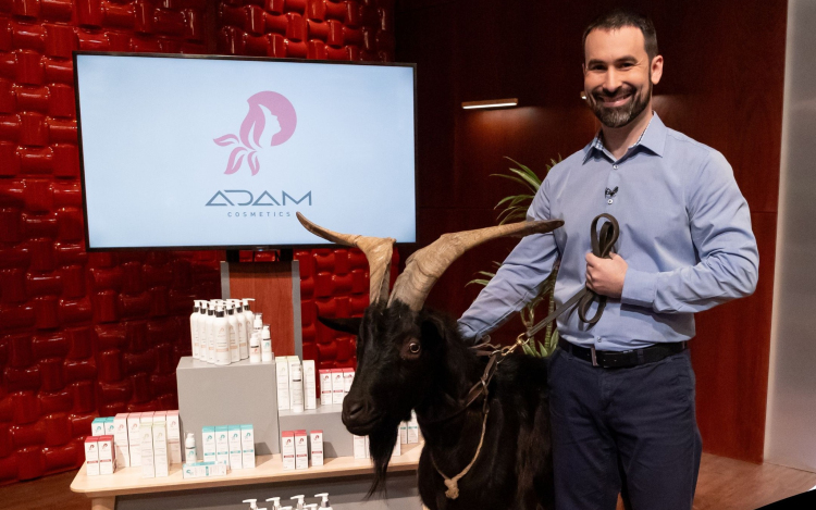 Ezt mondták a cápák a pápai Polgár Ádám ajánlatára