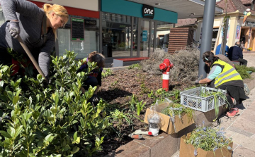 Közösségi összefogásban felajánlott virágokból színesítik a Kossuth utcát