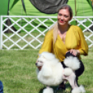 2 x CAC Nemzeti Kutyakiállítás – Pápa