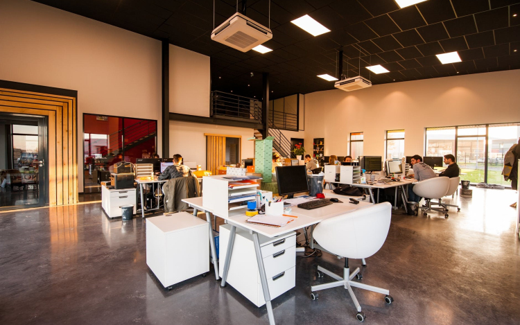 Milyen informatikai szolgáltatásra lehet szüksége egy cégnek?