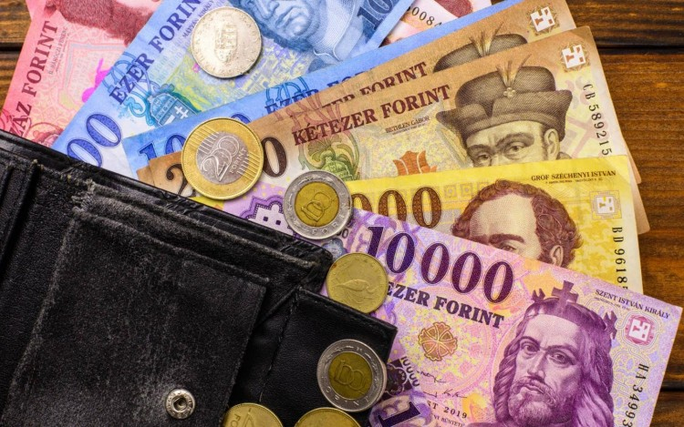 Pénztárcát lopott, a rendőrök elfogták