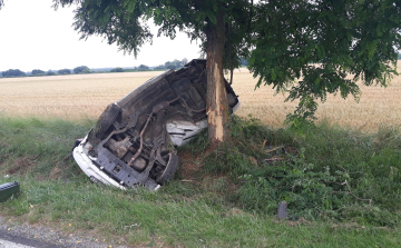 Felcsavarodott a fára egy autós Nagygyimót és Csót között