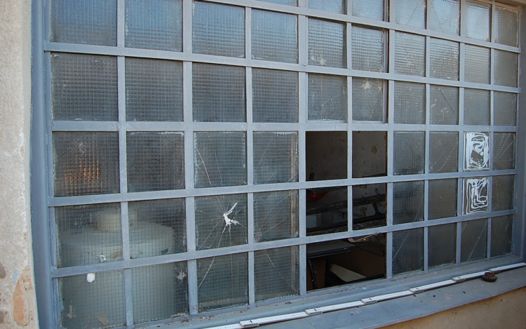 Iskolai lopó a bíróság előtt