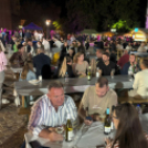 Pápai Cicege és Borfesztivál - Péntek - 2025