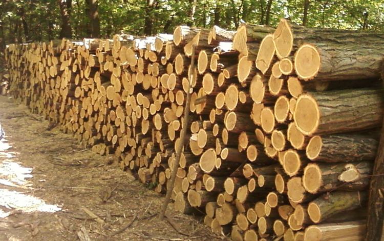 Lopott tűzifát árult akciósan egy pápai férfi