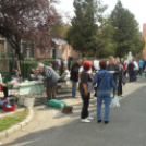 Vajda Péter Lakótelepi Nap - Pápa