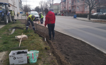 Megszépül az új Korona utcai körforgalom környezete