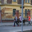 Erzsébetvárosi Nap - Pápa