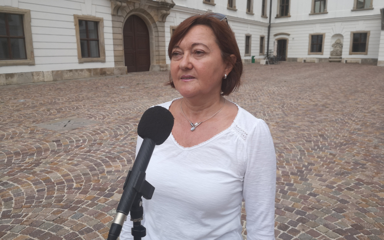 Elhalasztják a borfesztivált, augusztus 20-ra pedig visszafogott programmal készülnek