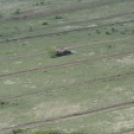 Fire Blade 2017 - Szoktatórepülés - Pápa