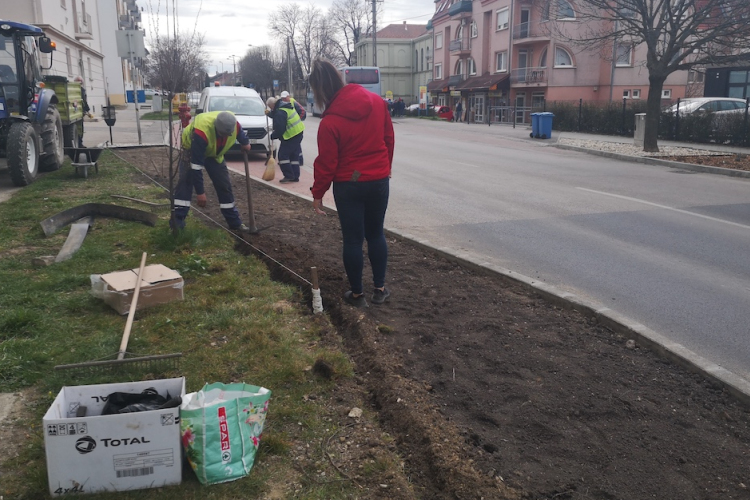 Megszépül az új Korona utcai körforgalom környezete
