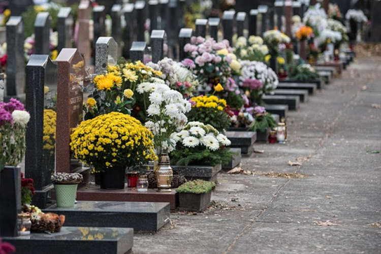 Rendszeresen lopta a temetőből a virágokat a tolvaj, a rendőrök elfogták