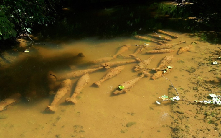 Világháborús robbanótestek tömege rajzolódik ki a Gerence patakban Bakonybélnél