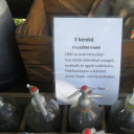 Pápai Játékfesztivál 2016 - Szombat