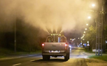 Július 1-jén szúnyogirtás lesz Pápán 