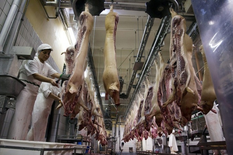 Politikai okok állnak az orosz hústilalom mögött?