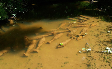 Világháborús robbanótestek tömege rajzolódik ki a Gerence patakban Bakonybélnél