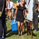 2 x CAC Nemzeti Kutyakiállítás – Pápa