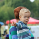 Vajda Péter Lakótelepi Nap