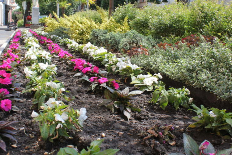 Tiszta és virágos Veszprém megyéért - Ismét kiváló minősítést kapott Pápa