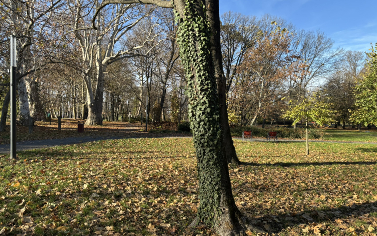 Ismét közösségi munkára hívják a pápaiakat